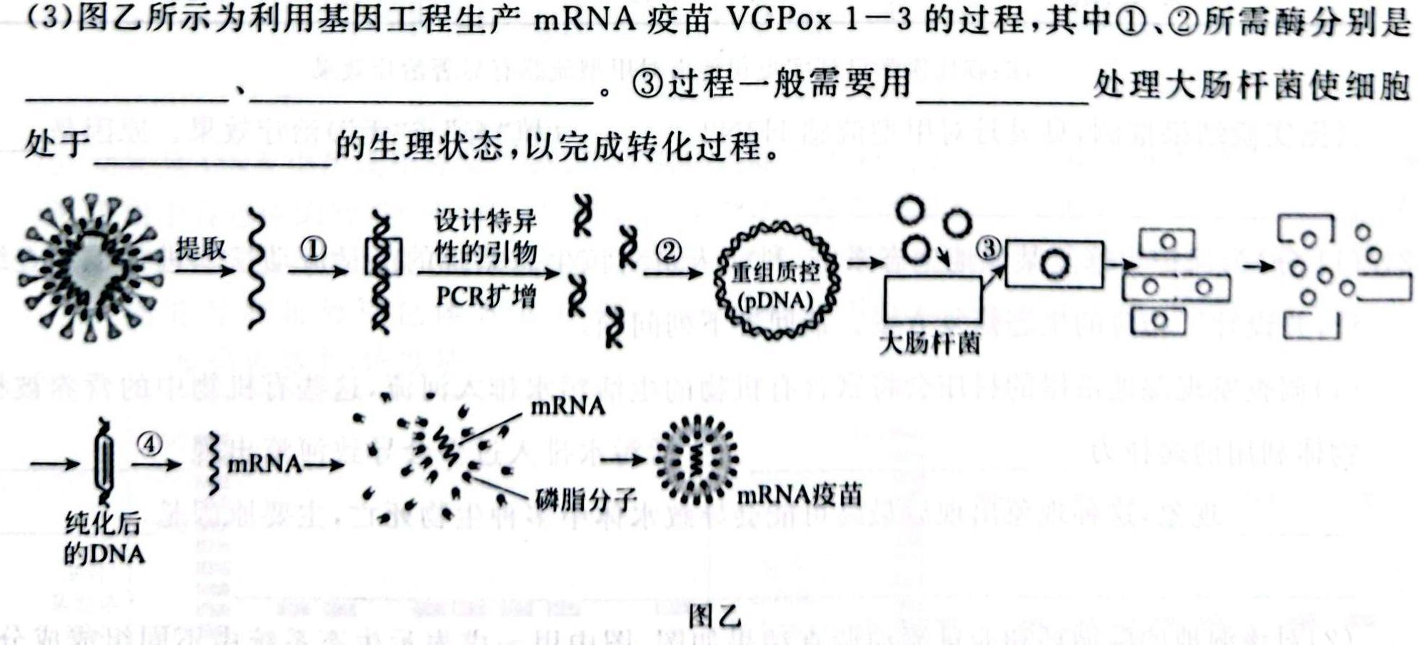 2024届河南省高三阶段性考试(24-68C)生物