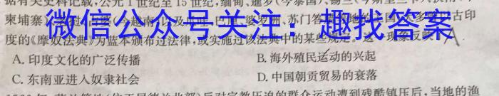 山西省临汾市2023-2024学年度第一学期初一年级素养形成第一次能力训练历史试卷