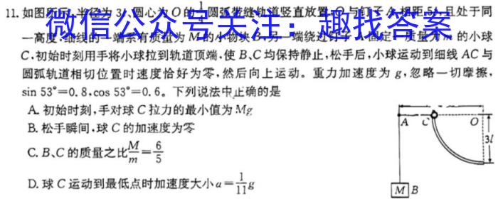 2024届新高考模拟检测卷XKB(四)l物理