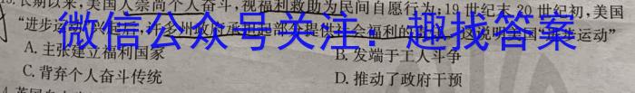 山西省九年级2023-2024学年新课标闯关卷（十）SHX历史