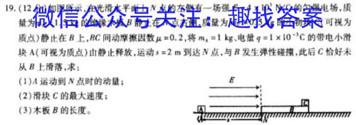衡水金卷2023-2024学年度上学期高三年级二调考试（新高考版）q物理