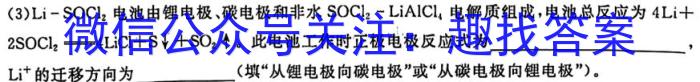 1江西省2024届九年级阶段评估(一)[1L R]化学