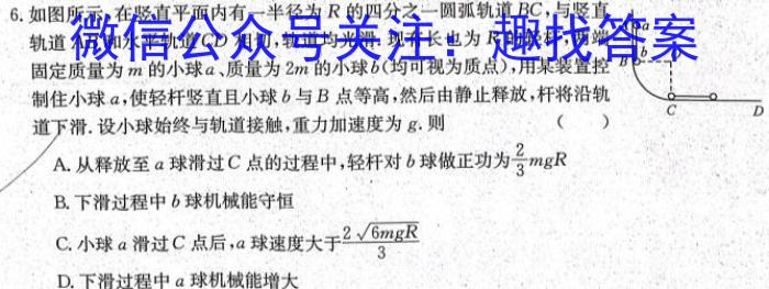 2024届山东省高三十月考试(24-12C)q物理