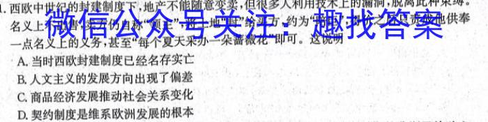 2023-2024学年安徽师大附属萃文中学九年级（上）开学考试历史