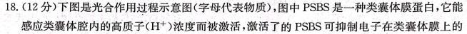 安徽省2023年皖东智校协作联盟高三10月联考生物