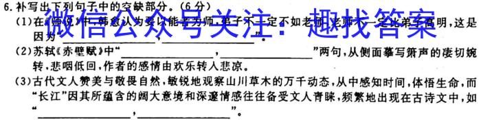 [今日更新]2024届云南师大附中(贵州卷)高考适应性月考卷(黑白黑白黑白黑黑黑)语文