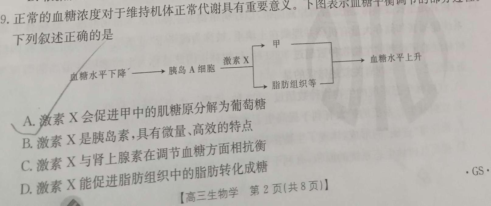 ［重庆大联考］重庆省2024届高三年级10月联考生物