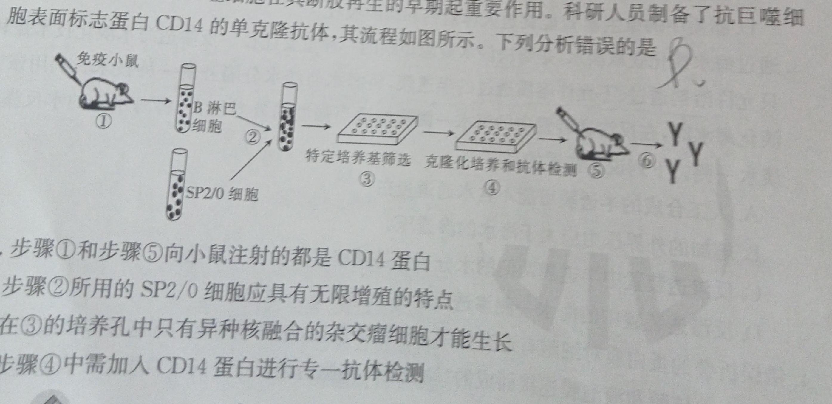 安徽省2023-2024安徽省九年级上学期阶段性质量监测(一)生物学试题答案