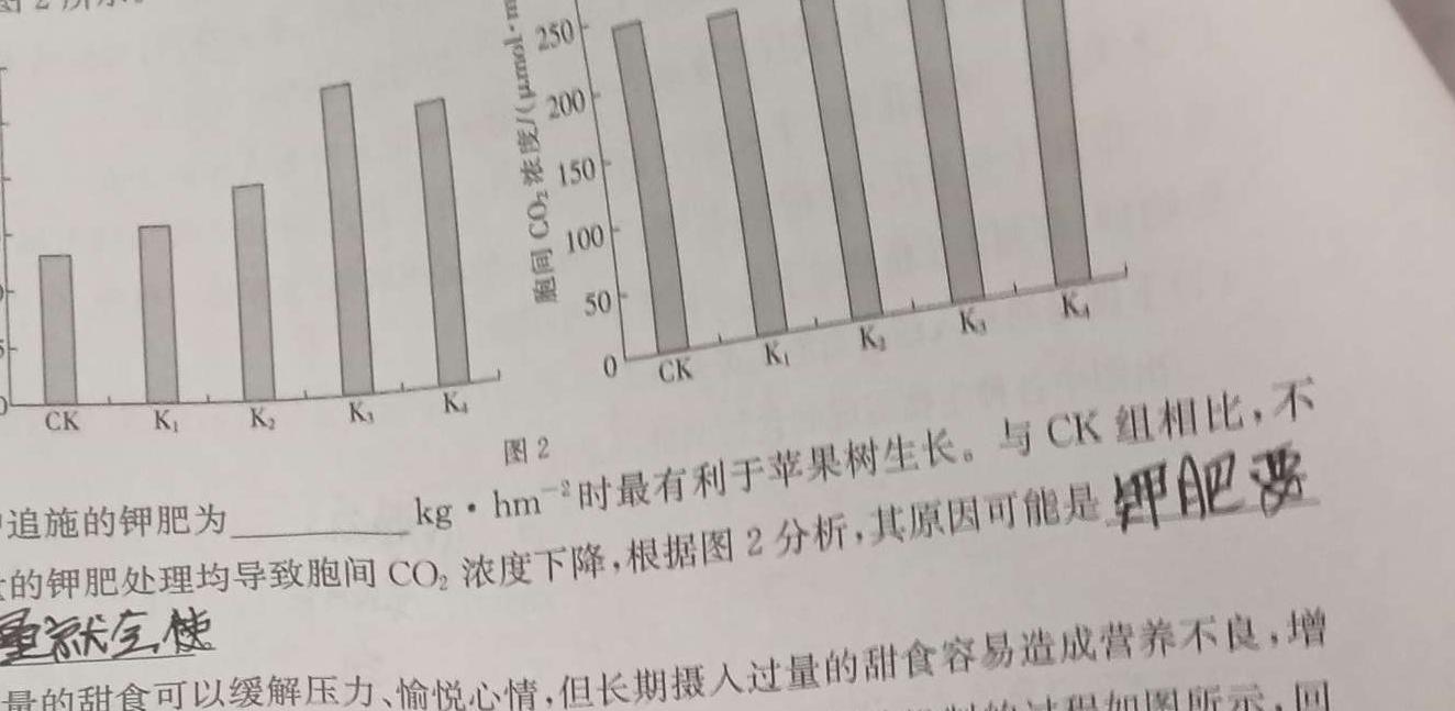 河北省2023-2024学年度七年级上学期阶段评估（一）【1LR】生物学试题答案