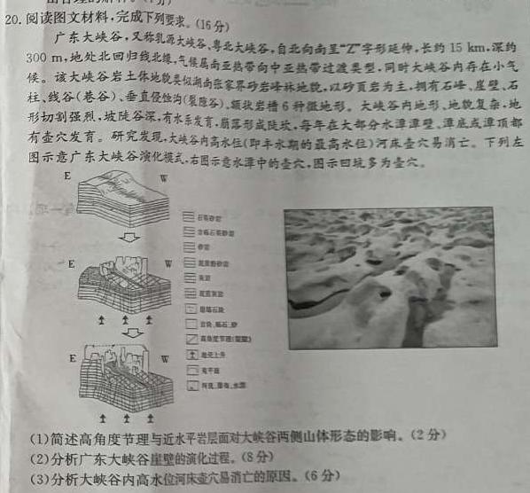九师联盟2023-2024学年高三9月质量检测（X）政治y