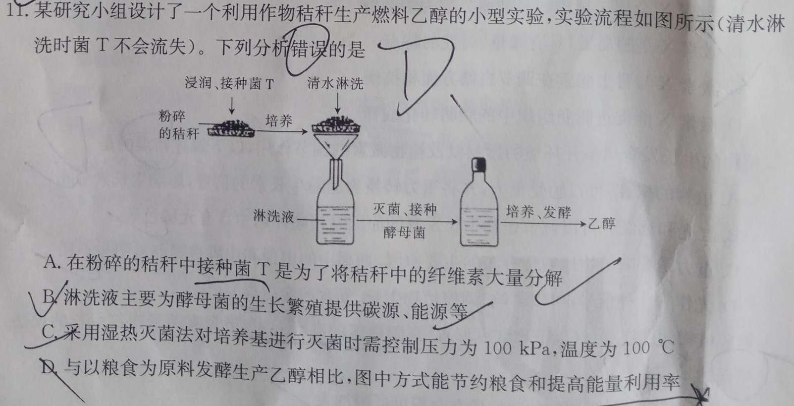 ［江苏大联考］江苏省2024届高三年级9月联考生物