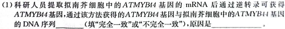 2024届新高考模拟检测卷XKB(四)生物学试题答案