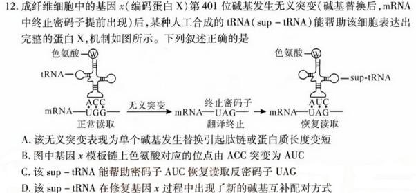 陕西省2024届高三年级10月联考生物