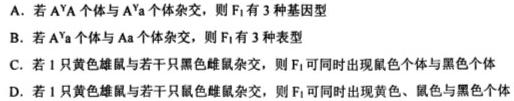 陕西省2023-2024学年度第一学期第一阶段九年级综合作业生物