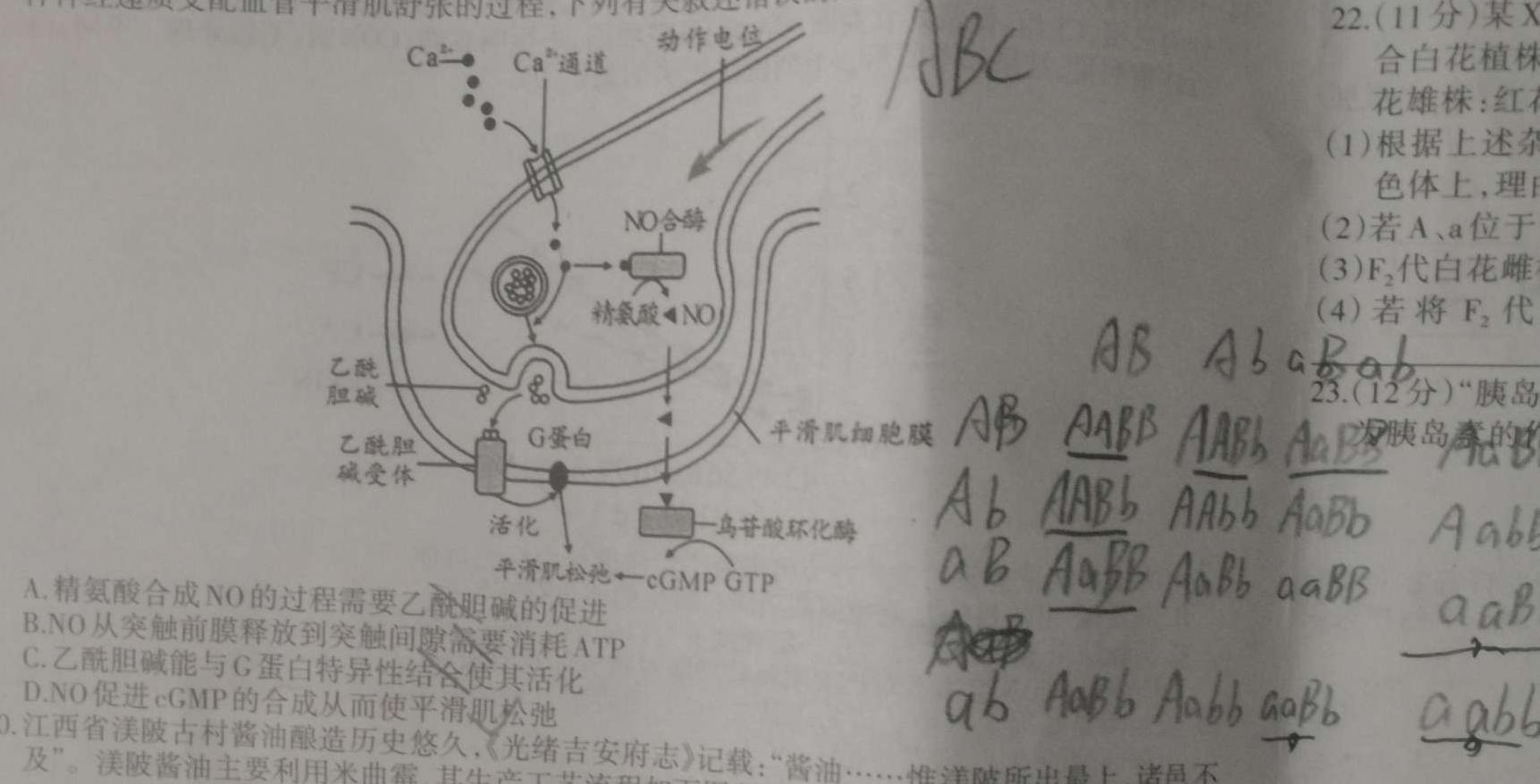 黑龙江省2023-2024学年上学期高二年级9月月考(24052B)生物