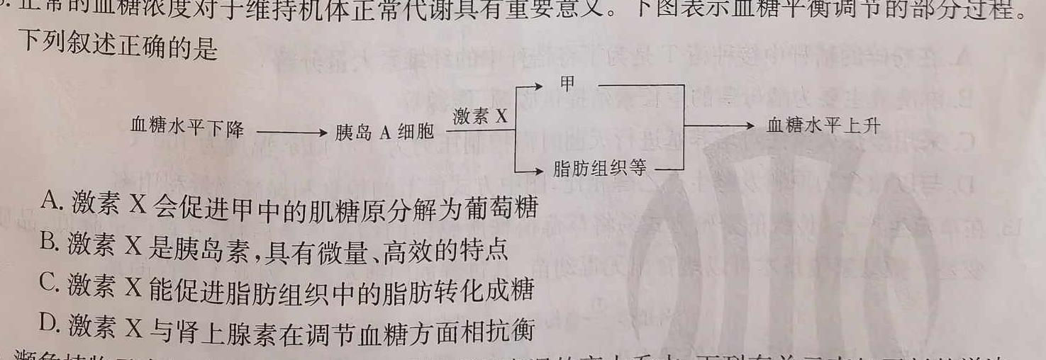 2023-2024学年云南省高一月考试卷(24-27A)生物