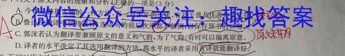 [今日更新]2024届全国高考分科调研模拟测试卷（样卷）XGK语文