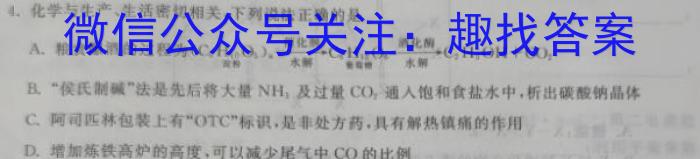 q陕西省2025届八年级教学素养测评（一）A【1LR】化学