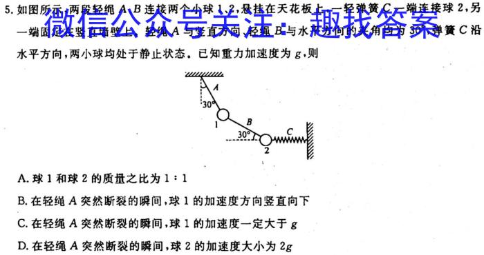 云南师大附中(云南卷)2024届高考适应性月考卷(黑白黑白黑白白黑)l物理