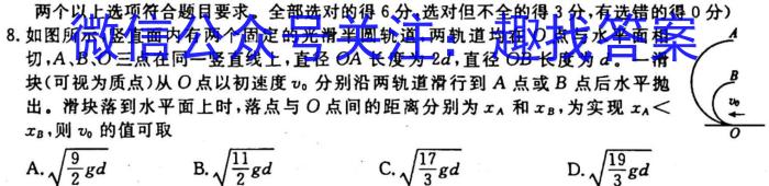 河北省2023-2024学年度八年级上学期阶段评估（一）【1LR】l物理