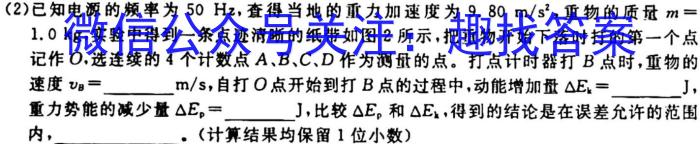 安徽省2023-2024学年第一学期九年级教学质量监测物理.