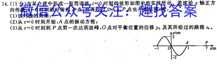 炎德英才大联考长郡中学2024届高三月考试卷(二)q物理