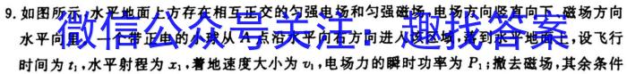 江西省连云港东海县2023-2024学年七年级上学期新生素养检测q物理