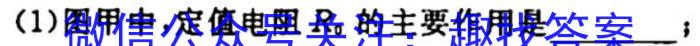 安徽省2023-2024学年度九年级第一次质量检测l物理