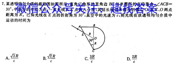 佩佩教育·2024年普通高校招生统一考试湖南10月高三联考卷物理`