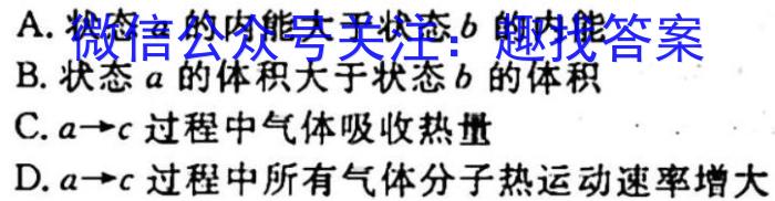 河北省2023-2024学年度八年级上学期阶段评估（一）【1LR】物理`