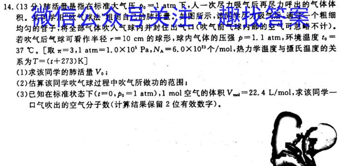 金科大联考2025届高二10月质量检测f物理