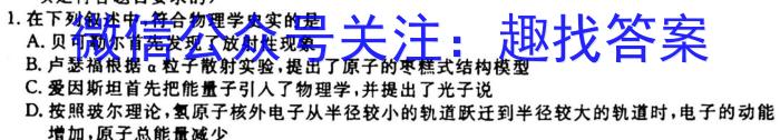 江西省2024届九年级第一次阶段适应性评估q物理