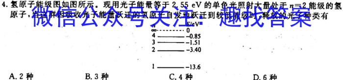 百师联盟2024届高三一轮复习联考(一) 广东卷物理`