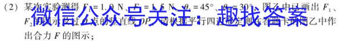 安徽省2024届高三10月质量检测卷物理`