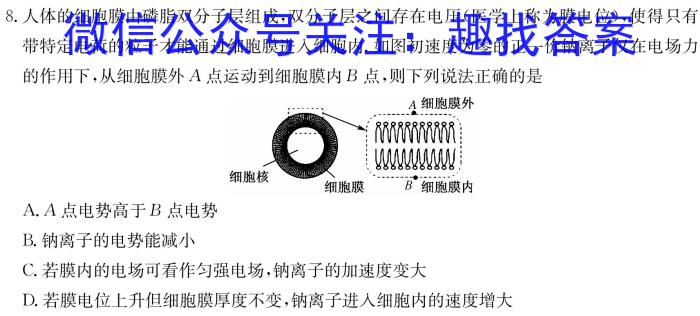 陕西省2023-2024学年度高二第一学期阶段性学习效果评估(一)物理`