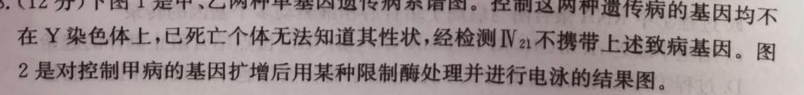 青海省大通县教学研究室2024届高三开学摸底考试(243048Z)生物