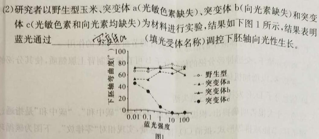 衡中同卷2023-2024上学期高三一调生物学试题答案