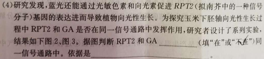 金科大联考2025届高二10月质量检测生物