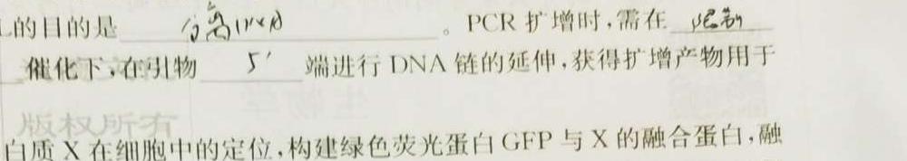 金科大联考2025届高二10月质量检测生物学试题答案