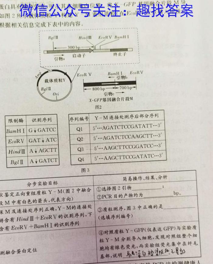 衡水金卷先享题·月考卷 2023-2024学年度上学期高三年级二调（新教材）生物