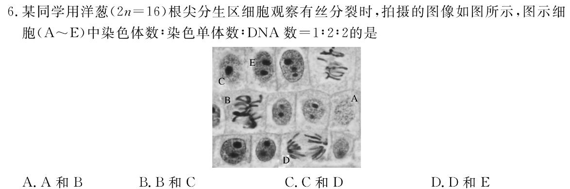 浙江省2023学年第一学期“南太湖”联盟高二年级第一次月考生物