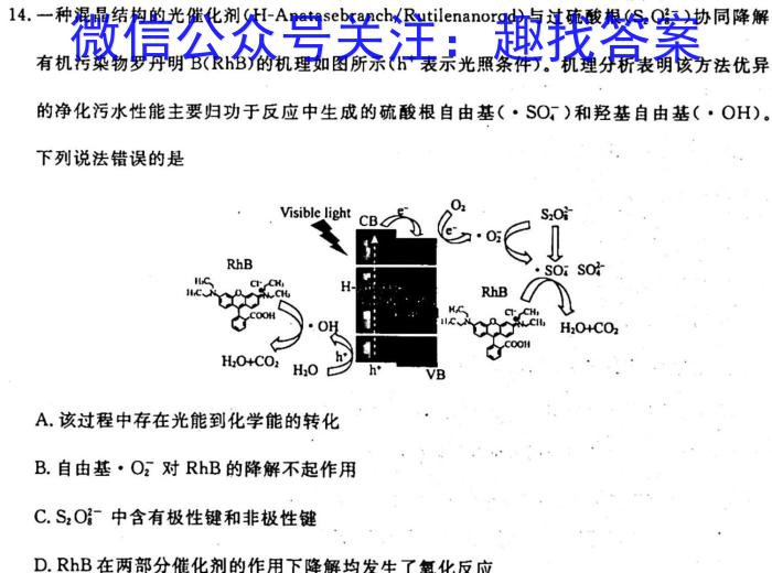 q百师联盟2024届高三一轮复习联考(一) 山东卷化学