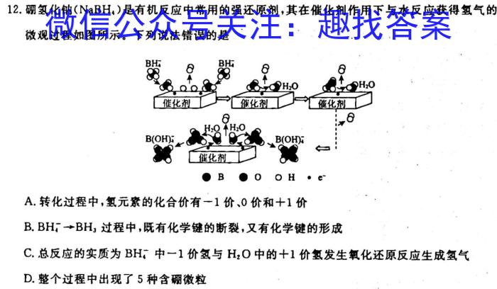 1安徽第一卷2023-2024安徽省九年级教学质量检测(一)化学