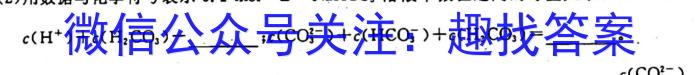 q江西省八年级2023-2024学年新课标闯关卷（十）JX化学