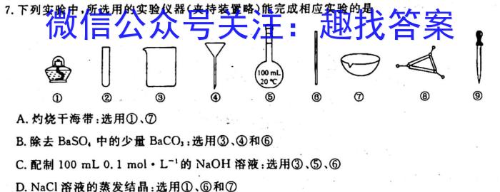 3江西省八年级2023-2024学年新课标闯关卷（十）JX化学