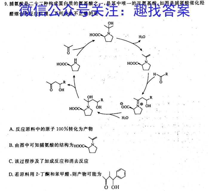 q九师联盟·2024届高三9月质量检测巩固卷(新教材L G）化学