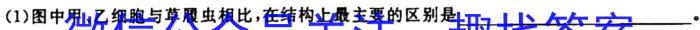 ［湖北大联考］湖北省2024届高三年级9月联考生物