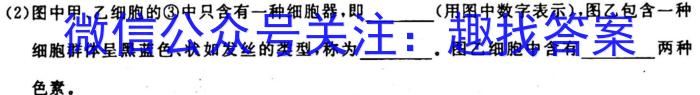 江西省八年级2023-2024学年新课标闯关卷（十一）JX生物试卷答案