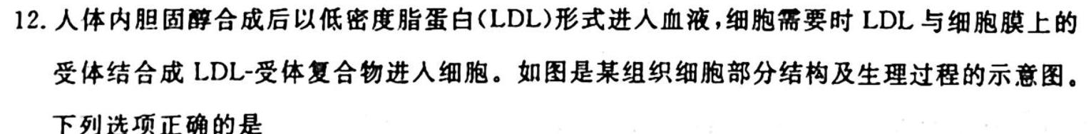 023年皖东智校协作联盟高三10月联考生物"