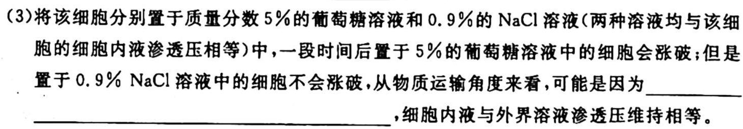 天一大联考·山东省2024届高三10月联考生物学试题答案